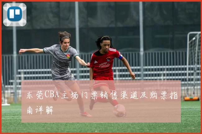 东莞CBA主场门票销售渠道及购票指南详解
