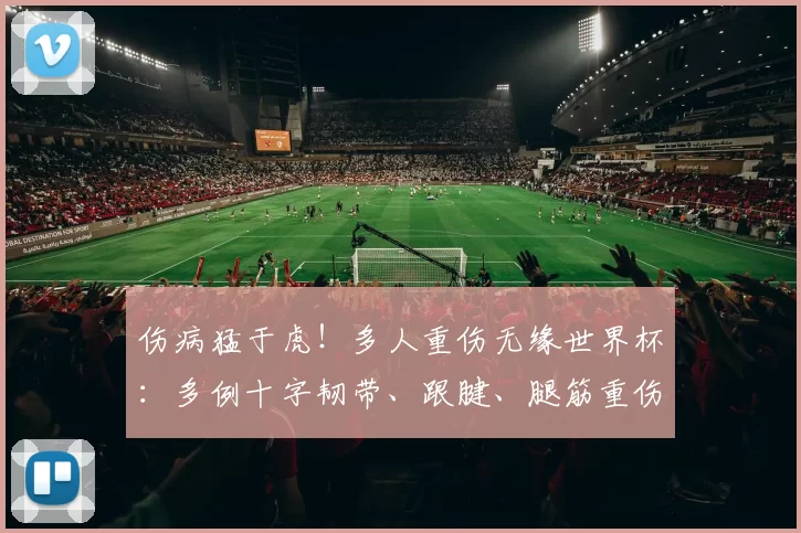 伤病猛于虎！多人重伤无缘世界杯：多例十字韧带、跟腱、腿筋重伤