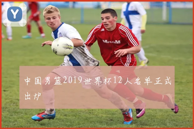 中国男篮2019世界杯12人名单正式出炉